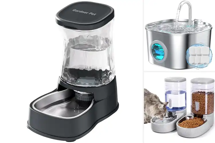 Detailed view of Best Stainless Steel Bowls Dispensers