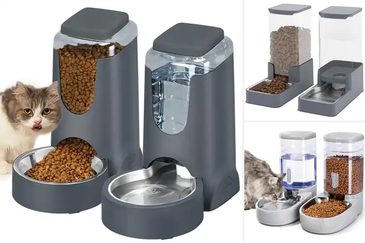 Detailed view of Best Stainless Steel Cat Feeders