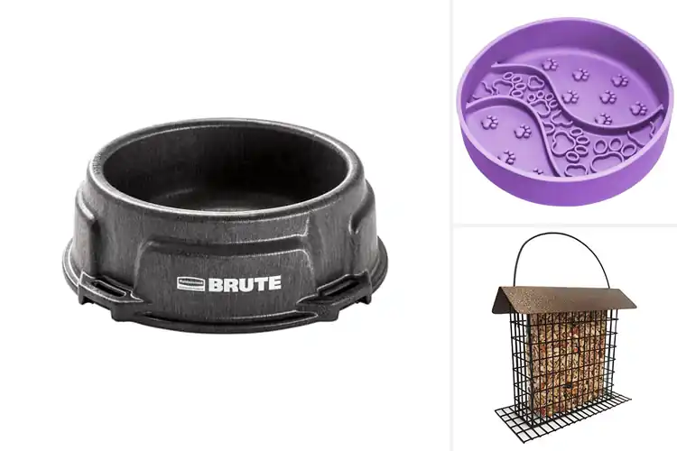 Detailed view of Best Tip Resistant Feeder: 10 Picks for Mess-Free Feeding