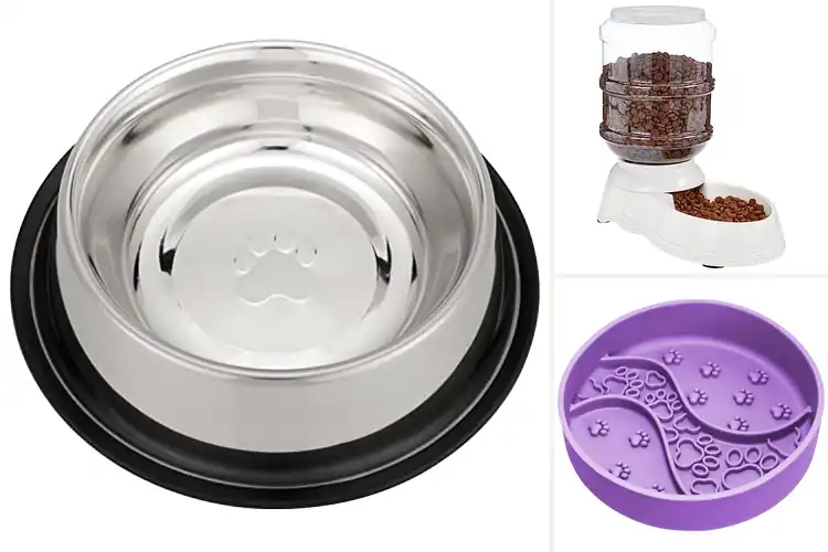 Detailed view of Best Tip-Resistant Pet Feeder: Top Picks for Mess-Free Meals