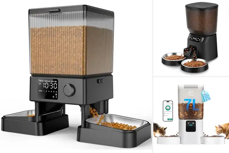 Detailed view of Best Two Cats Automatic Feeder