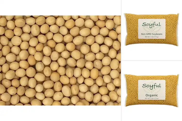Detailed view of Best USA Made Soybeans
