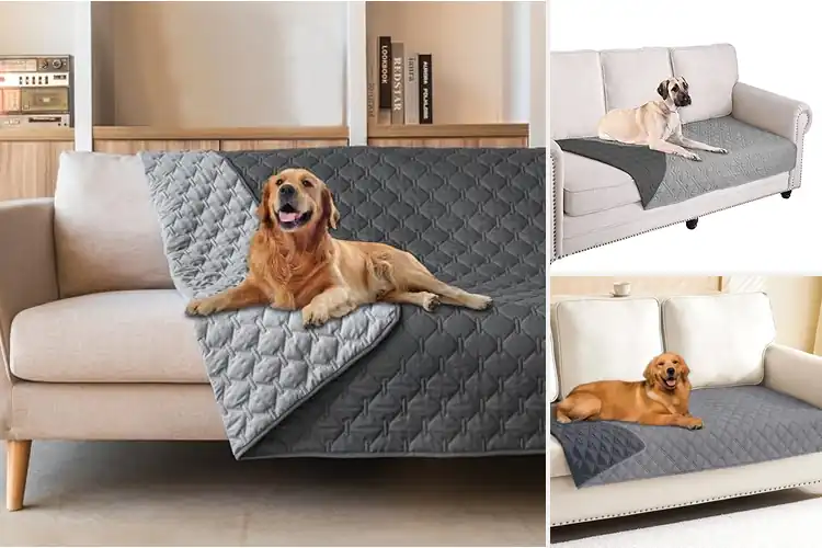 Detailed view of Best Washable Cover