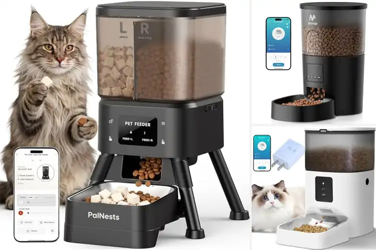 Detailed view of Best Wifi App Controlled Feeder