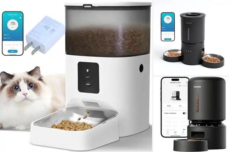 Detailed view of Best WiFi Cat Feeders For Cats