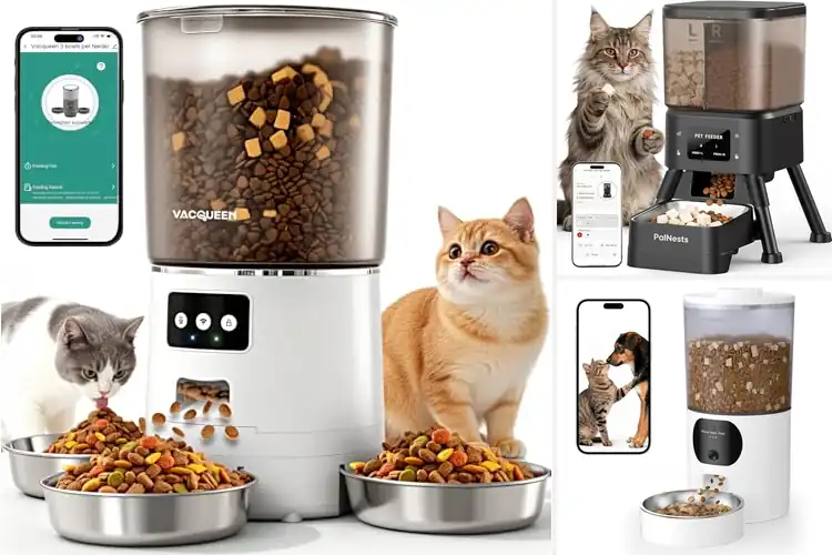 Detailed view of Best WiFi Enabled Cat Feeder With App Control