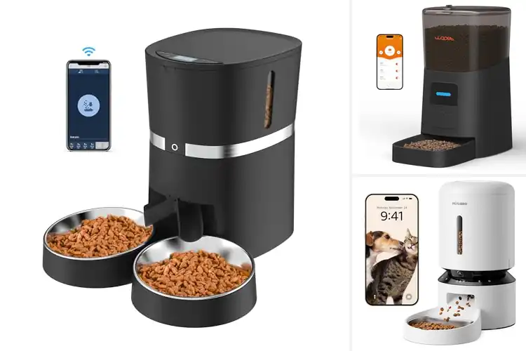 Detailed view of Best WiFi Enabled Pet Feeders