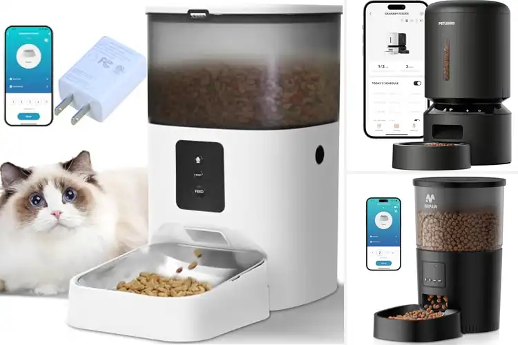 Detailed view of Best WiFi Pet Feeders